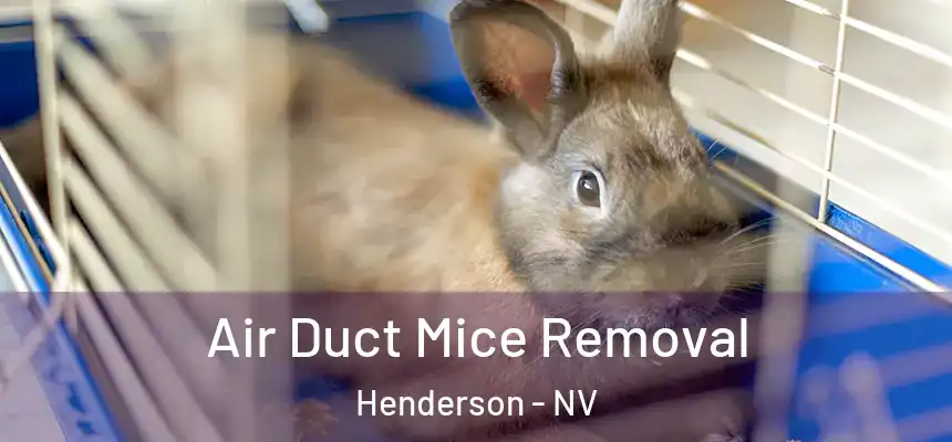 Air Duct Mice Removal Henderson - NV