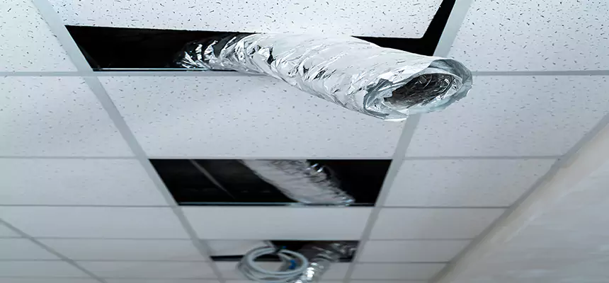 Our Air Duct Pet Hair Removal Services in Henderson, NV