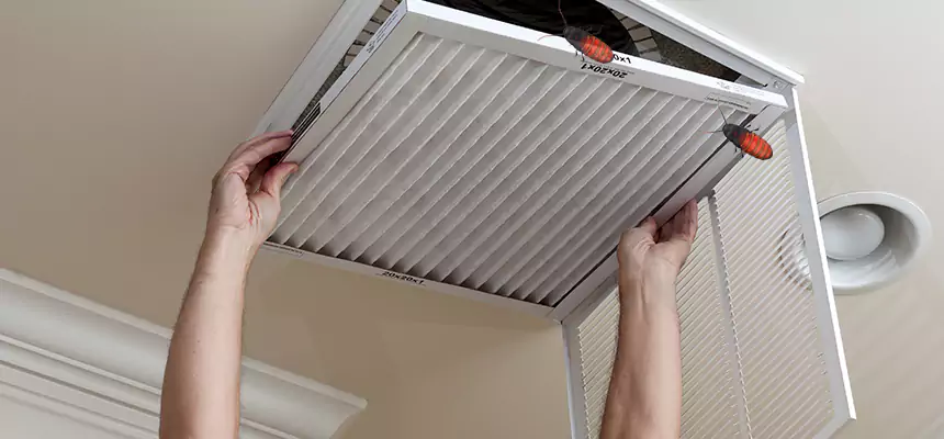 Our Insect Removal from Air Ducts Services in Henderson, NV