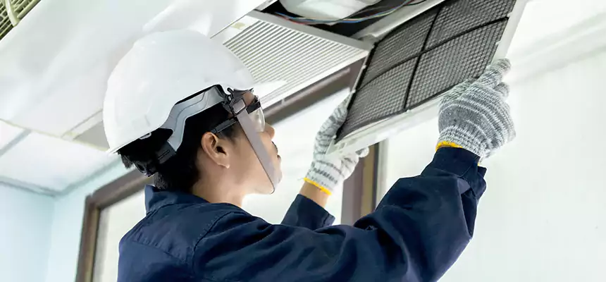 Our Mold & Mildew Removal from Air Ducts Services in Henderson, NV