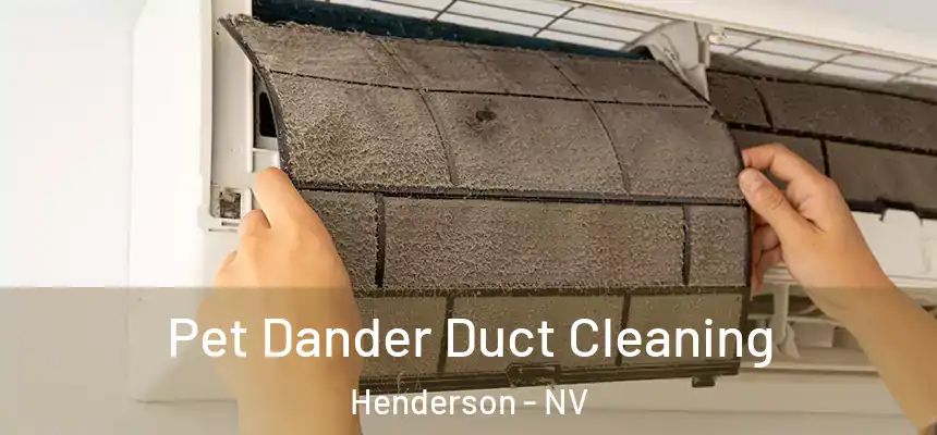 Pet Dander Duct Cleaning Henderson - NV