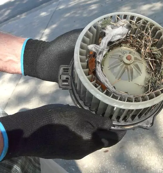 About Air Duct Rat Removal in Henderson, NV