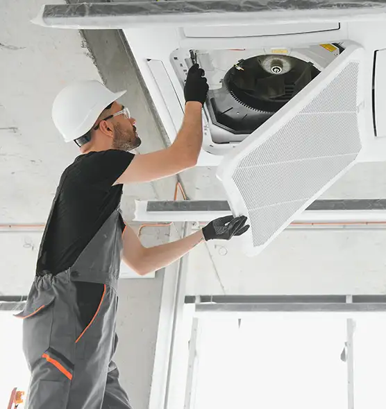 About Air Duct Rodent Removal in Henderson, NV