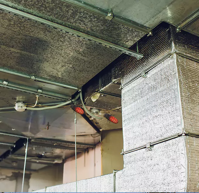 Why Homeowners & Businesses Trust Us in Henderson, NV?