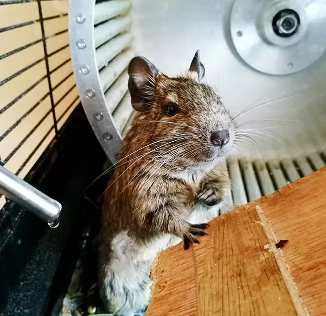 Why Homeowners & Businesses Trust Us Henderson, NV