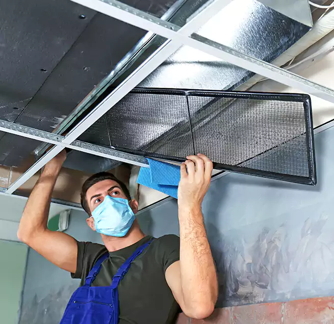 Why Homeowners Businesses Trust Us in Henderson, NV