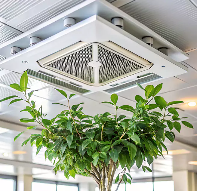 Why Homeowners & Businesses Trust Us in Henderson, NV?